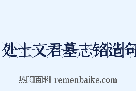 处士文君墓志铭造句是什么意思的图片
